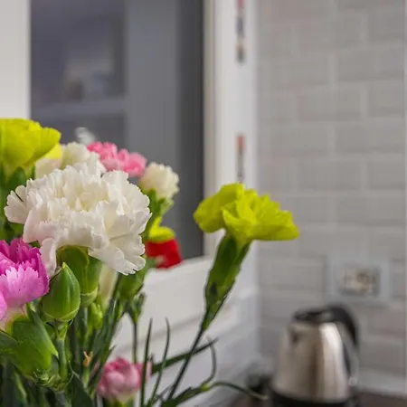 Appartement San Domenico Leon Bea *